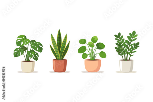 Collection of four potted houseplants including Monstera, Snake Plant, Money Tree, and ZZ Plant