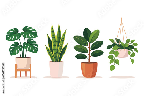 Collection of four diverse potted houseplants arranged in a row on a white background