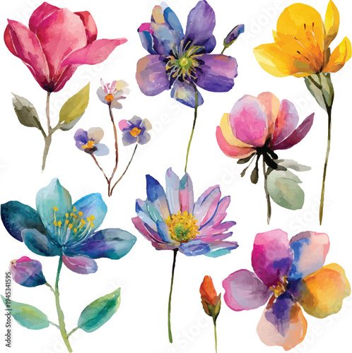 set of watercolor flowers