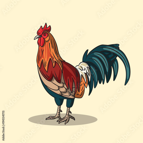 Illustration of a Rooster Chicken