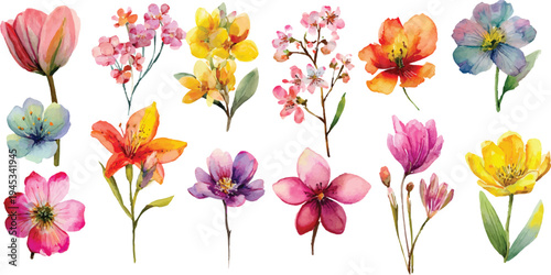 set of colorful flowers