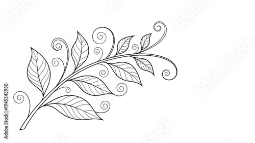 Detailed black and white line drawing of a leafy branch decorated with elegant swirling vines isolated on a white background.