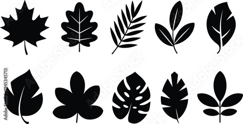 Leaf silhouettes set, botanical foliage collection with tropical and autumn leaves nature plant icons isolated black vector