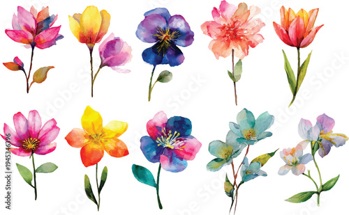 set of colorful flowers