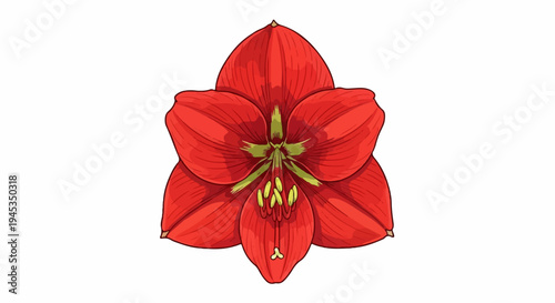 Striking red flower with delicate veins on its petals, centered perfectly