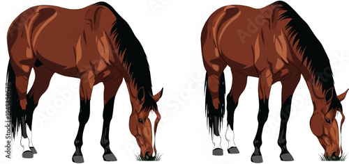 Two brown horses with black manes graze on grass in a split image