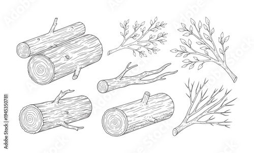 Hand Drawn Wood Logs and Branches Collection tree nature