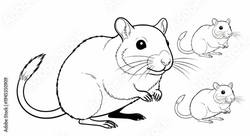 Outline drawing of a gerbil in the foreground and two smaller gerbils in the background