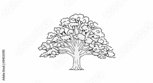 Stylized black and white drawing of a broad, leafy tree with a sturdy trunk
