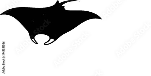 Silhouette of a manta ray swimming gracefully in clear water