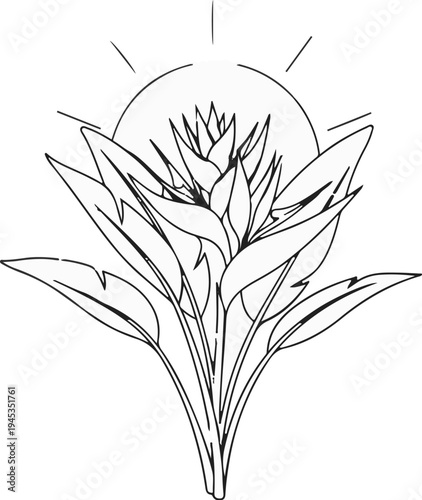 Striking floral silhouette against a radiant sun, detailed leaves