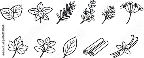 Collection of grocery and farm fresh food icons in a simple line art style
