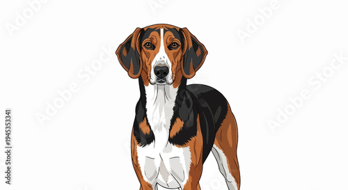 Digitally illustrated tricolor hound with long floppy ears, on a white background