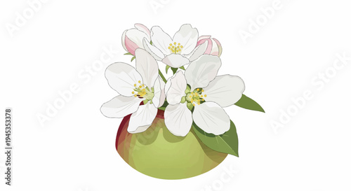 Delicate white apple blossoms emerge from a stylized green and red fruit