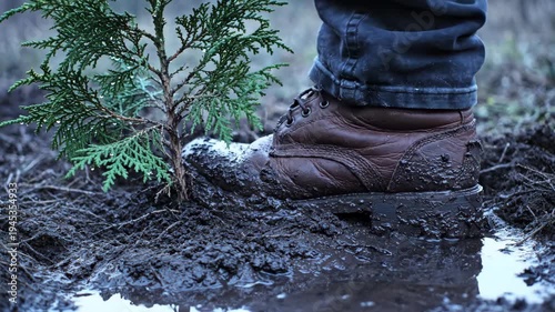 Persons foot, clad in sturdy boot, plants young green tree seedling deep within wet mud, fostering outdoor growth and natures future