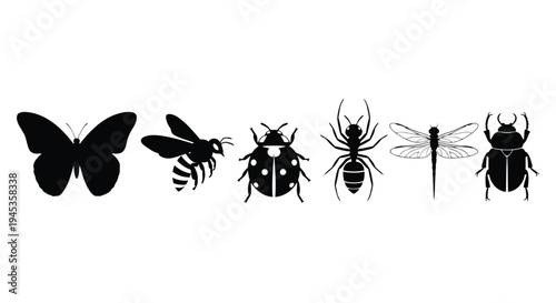 A group of butterflies and moths on a white background vector silhouette