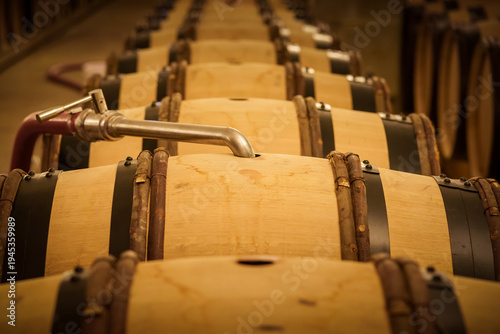 Filling wine barrels in cellar production line