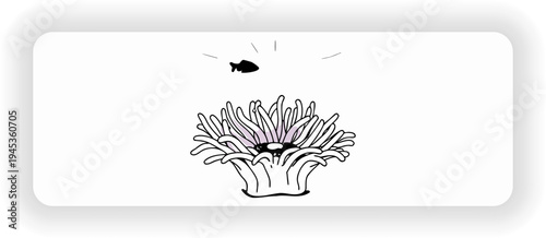 Hand drawn sea anemone with fish marine life vector illustration