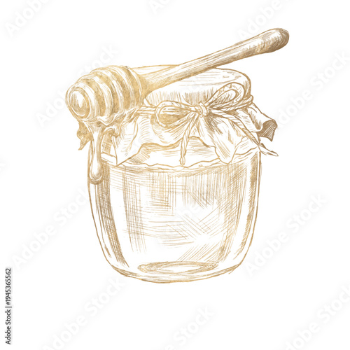Hand drawn vintage honey jar with honey dipper in pencil sketch engraving style. Detailed honey illustration isolated on white background for packaging, labels, beekeeping, organic product branding