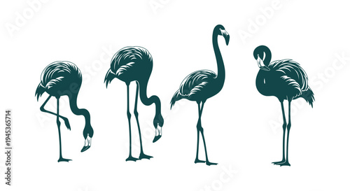 Set of four stylized flamingo silhouettes in different poses isolated on a white background vector