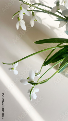 top view of a snowdrops in a glass jar