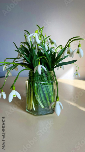 Close up of a bouquet of snowdrops in a glass jar