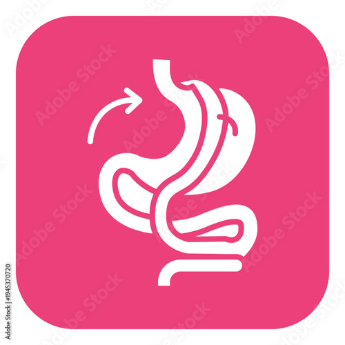 Gastric Bypass Vector Icon