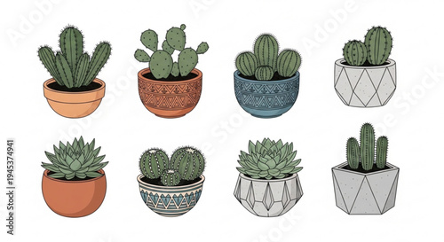 Variety of potted cacti and succulents in decorative planters on white background for home decor inspiration
