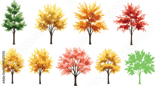 Collection of colorful seasonal trees vector illustration set featuring autumn foliage spring greenery isolated botanical forest elements for landscape design