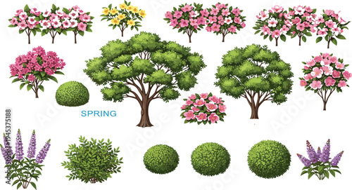 Collection of blooming spring trees shrubs and garden plants with pink yellow flowers isolated botanical vector set for landscape design