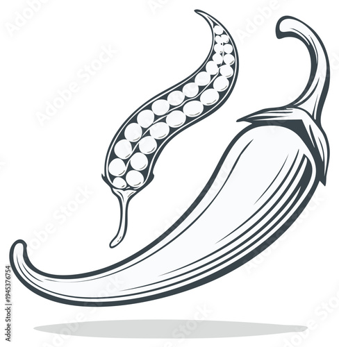 Engraved Style Drawing Featuring a Pepper and a Sectional View of Peas in a Pod