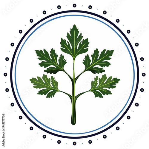 Stylized green parsley leaf emblem with decorative circular border illustration