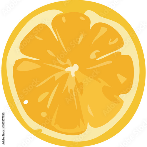 Orange slice cross section isolated representing vitamin C healthy lifestyle and fresh organic citrus fruit