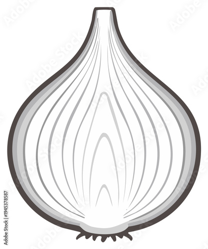 Illustration of a Freshly Cut Onion Showing Internal Layers, Simple Vector Style