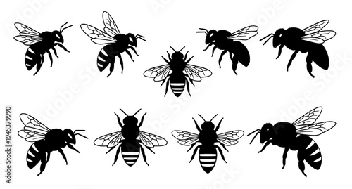 Bee Silhouette Set Insect Collection Black Vector Illustration