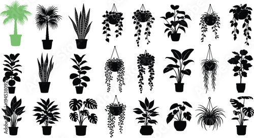 Collection of indoor houseplant silhouettes in pots and hanging planters tropical foliage decorative botanical vector set isolated on white