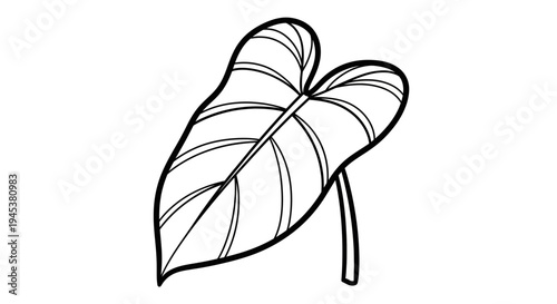 Outline drawing of a single large elephant ear plant leaf on a white background