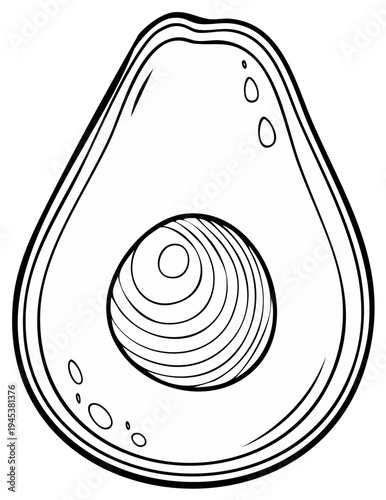 Avocado half line art drawing illustration fresh food healthy eating plant based vegan diet nutritious ingredient