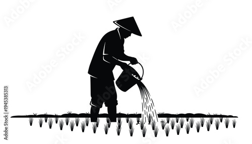 Farmer Watering Rice Plants in Paddy Field Silhouette, Agriculture Irrigation Concept