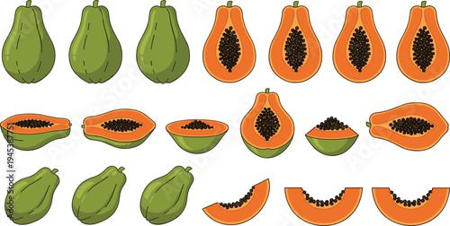 Papaya fruit whole, half and sliced collection with seeds in hand drawn style, tropical healthy food illustration set for organic produce, smoothies, and nutrition design