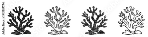 Sketch coral icon design set