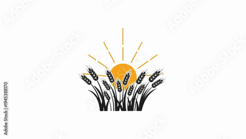 Golden sun behind a field of wheat stalks with leaves