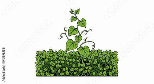 Stylized illustration of green plants growing from a dense bush