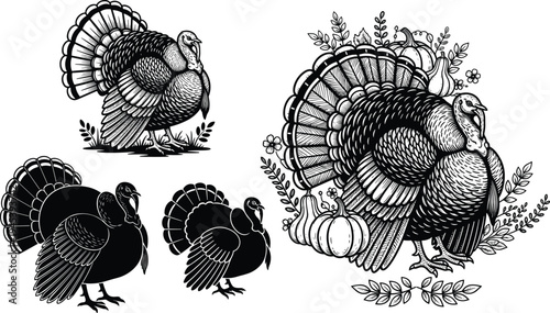 Vintage engraved turkey illustration set with autumn harvest elements, detailed farm bird artwork for Thanksgiving seasonal design projects