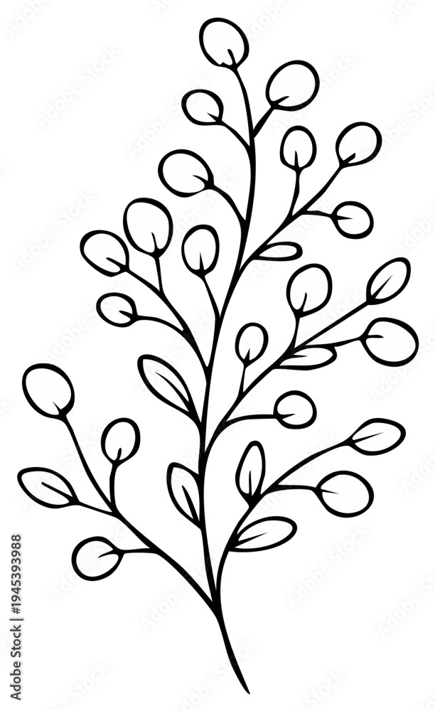 Obraz premium Minimalist Outline Drawing of a Delicate Eucalyptus Branch with Oval Leaves and Berries