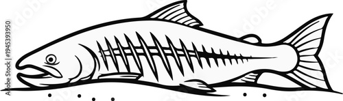 Stylized line art illustration of a salmon swimming in water