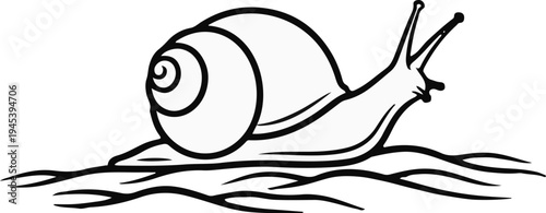 Stylized line art of a snail moving over wavy lines