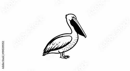Stylized black and white sketch of a pelican with a long beak and pouch