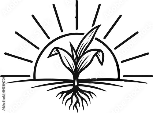 Stylized plant growing from roots under a sunburst
