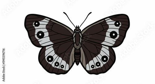 Stylized brown butterfly with light gray eye spots and dark stripes